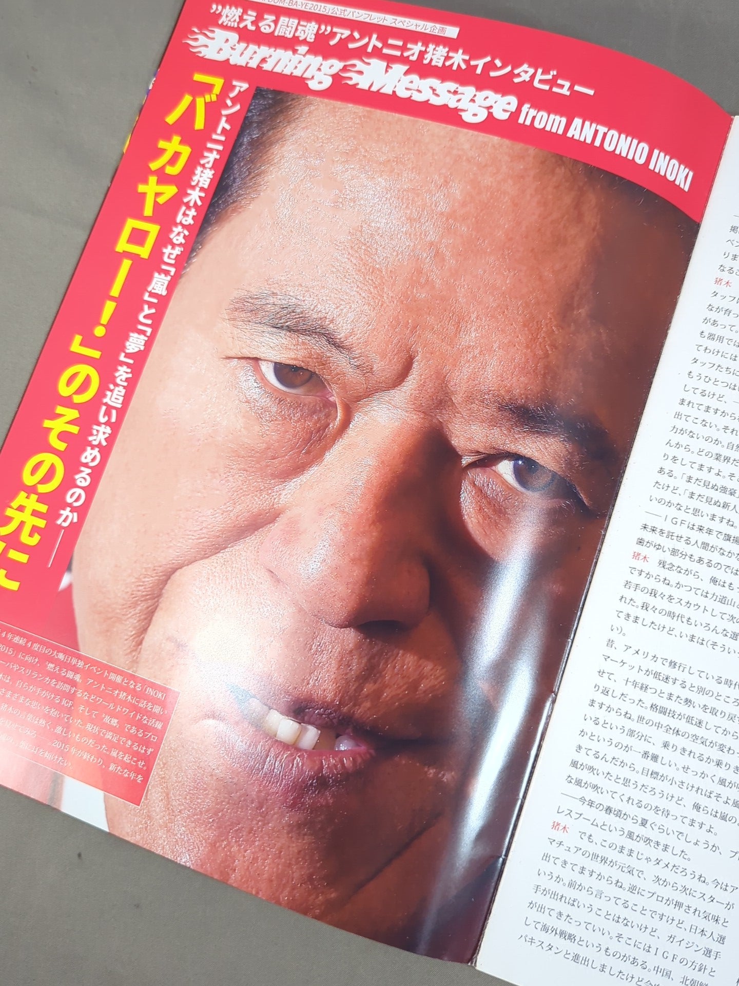 INOKI  BOM-BA-YE 2015