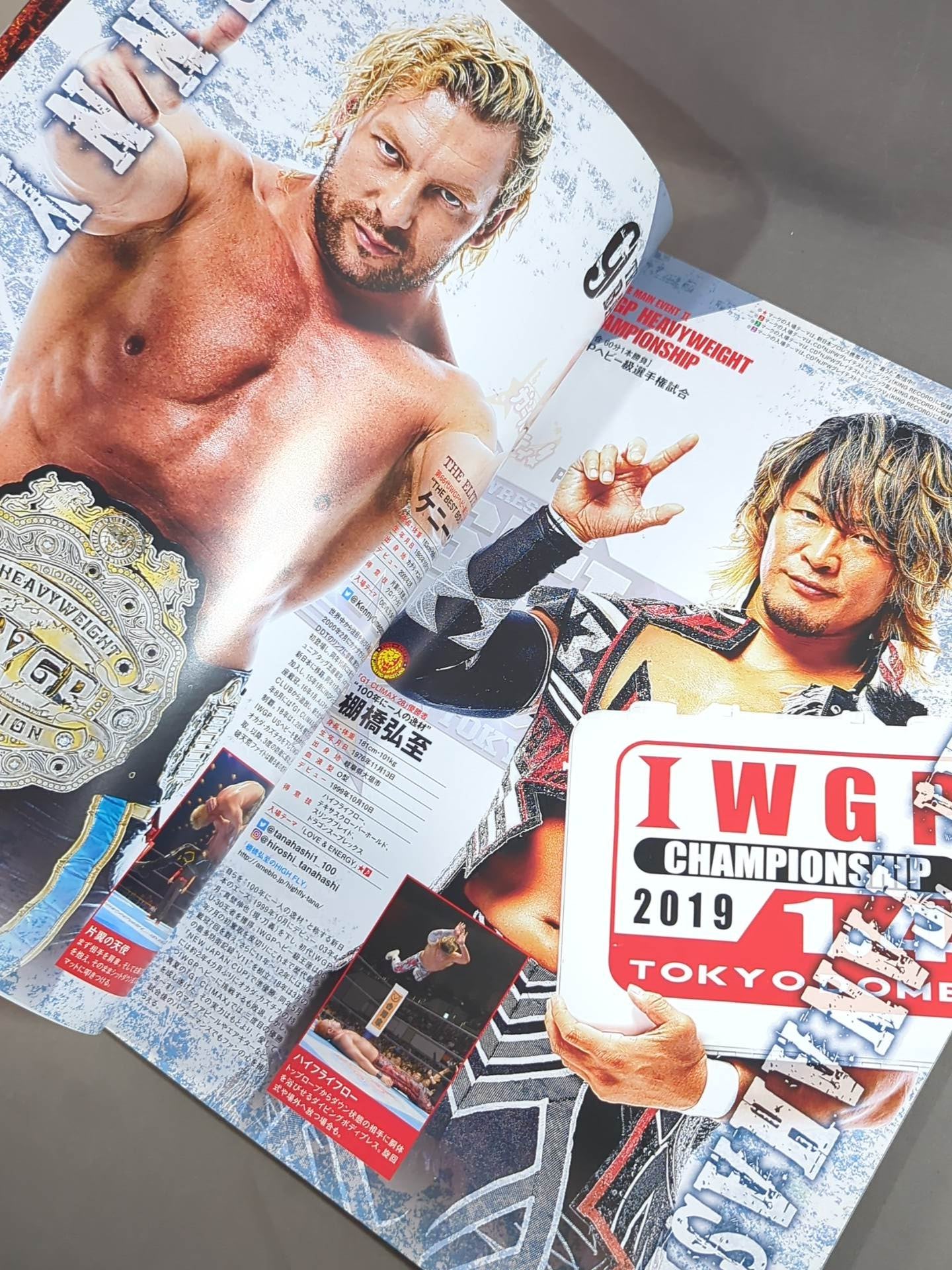 レッスルキングダム13 / WRESTLE KINGDOM 13 – 闘道館