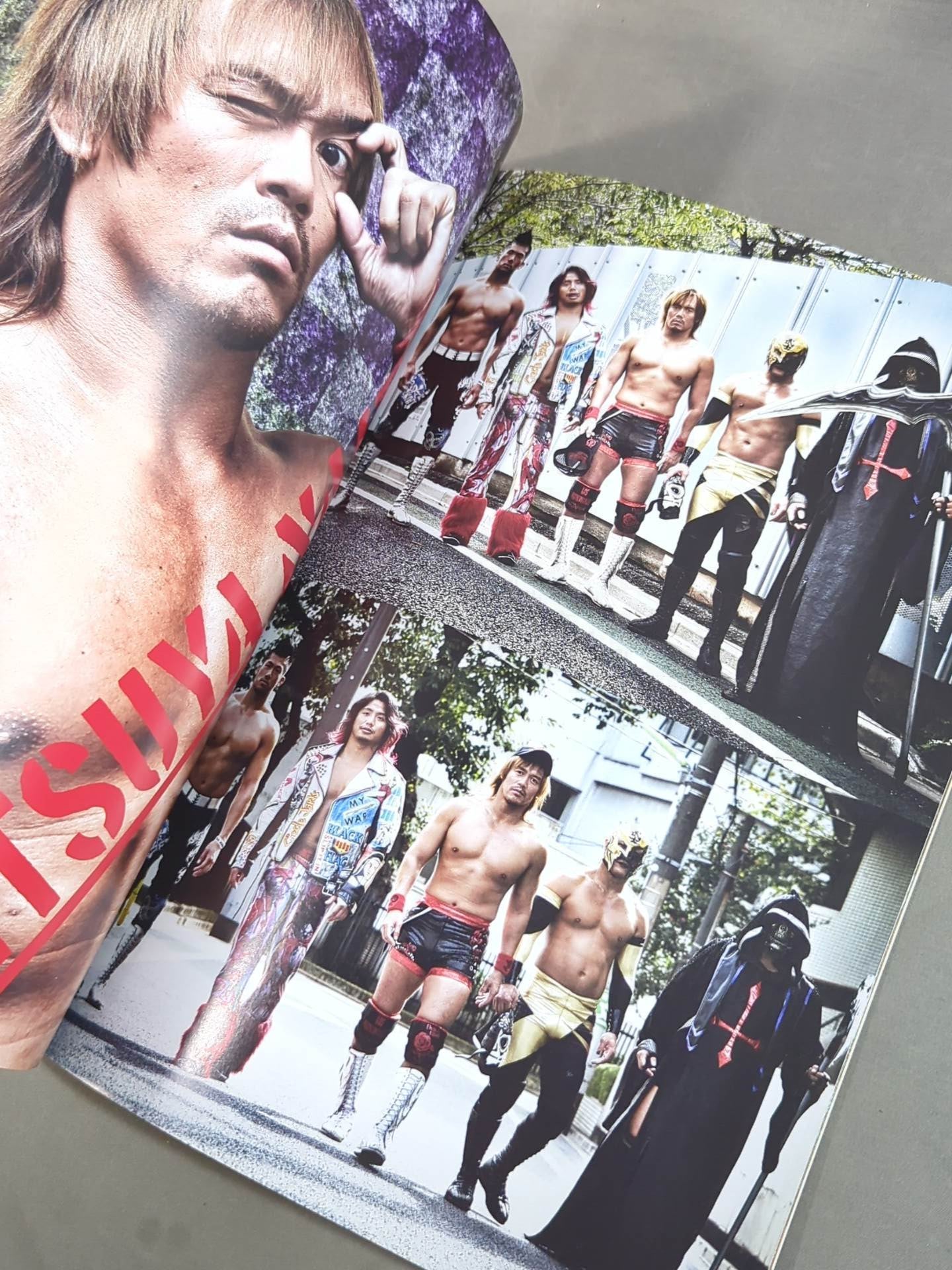 NJPW OFFICIAL MAGAZINE 2017 Vol.8
