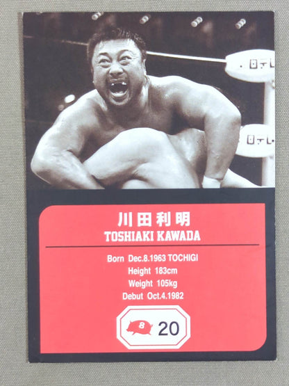 Team Full Swing Toshiaki Kawada Pro Wrestling Card