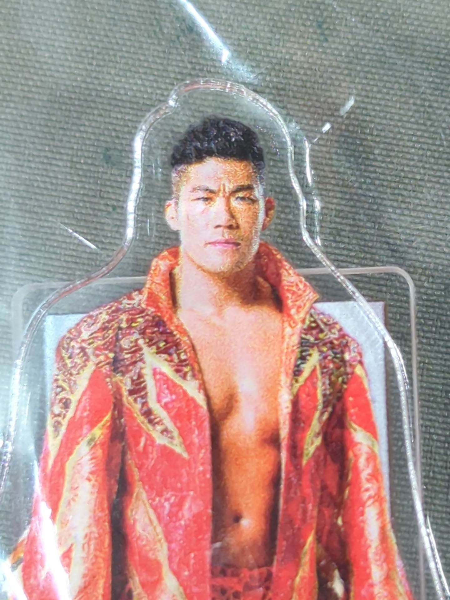 ★ Shinnichi Premium Lottery ★ SANADA Acrylic Stand