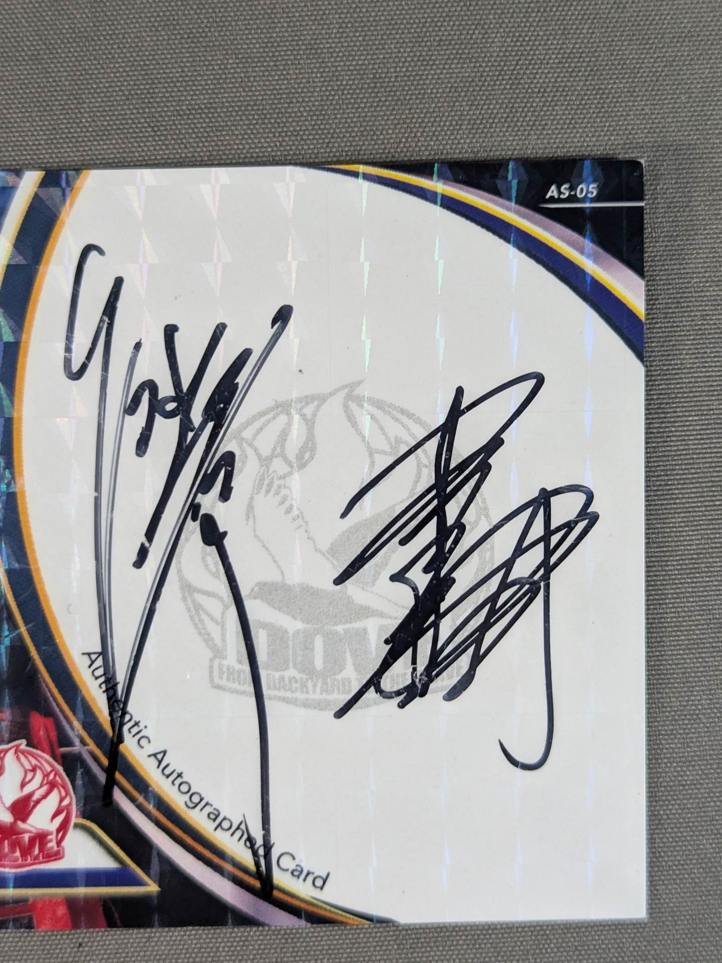 2019 大阪ミクスチャ 谷嵜なおき＆近野剣心 公式サインカード – 闘道館