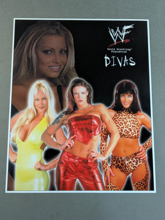WWF DIVAS ビッグポストカード