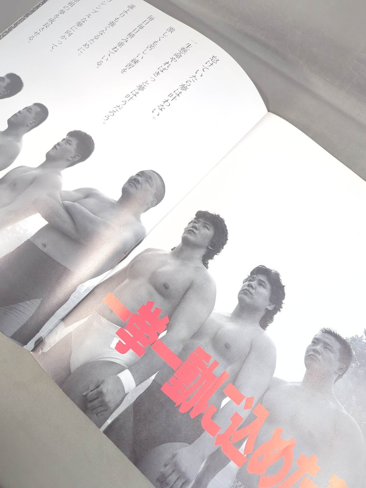 ★ Fujiwara-gumi Tokyo Dome ★ STACK OF ARMS