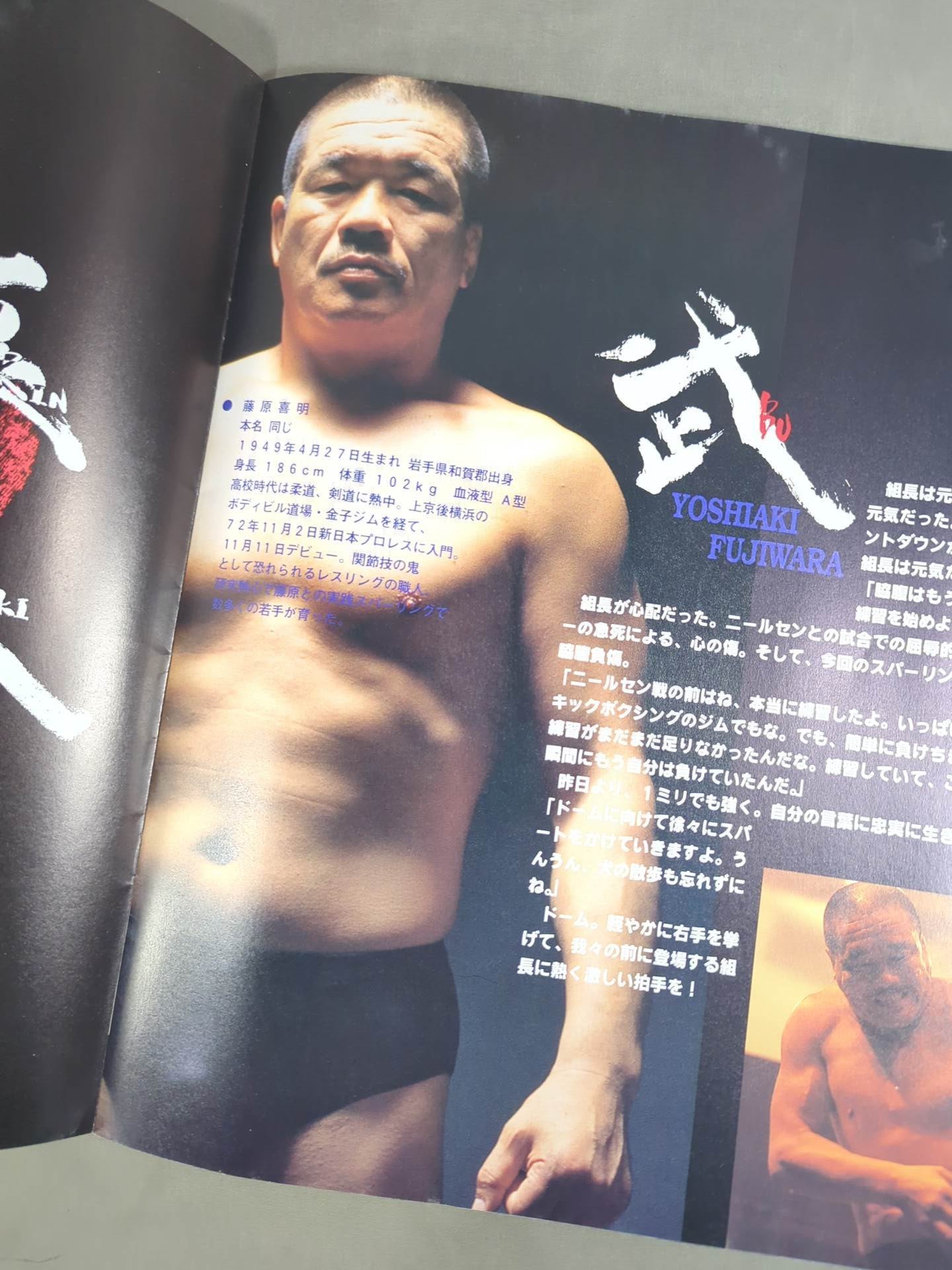 藤原組ポスター船木誠勝ウェインシャムロック他B2サイズ ☆藤原組 東京ドーム大会☆ STACK OF ARMS – 闘道館