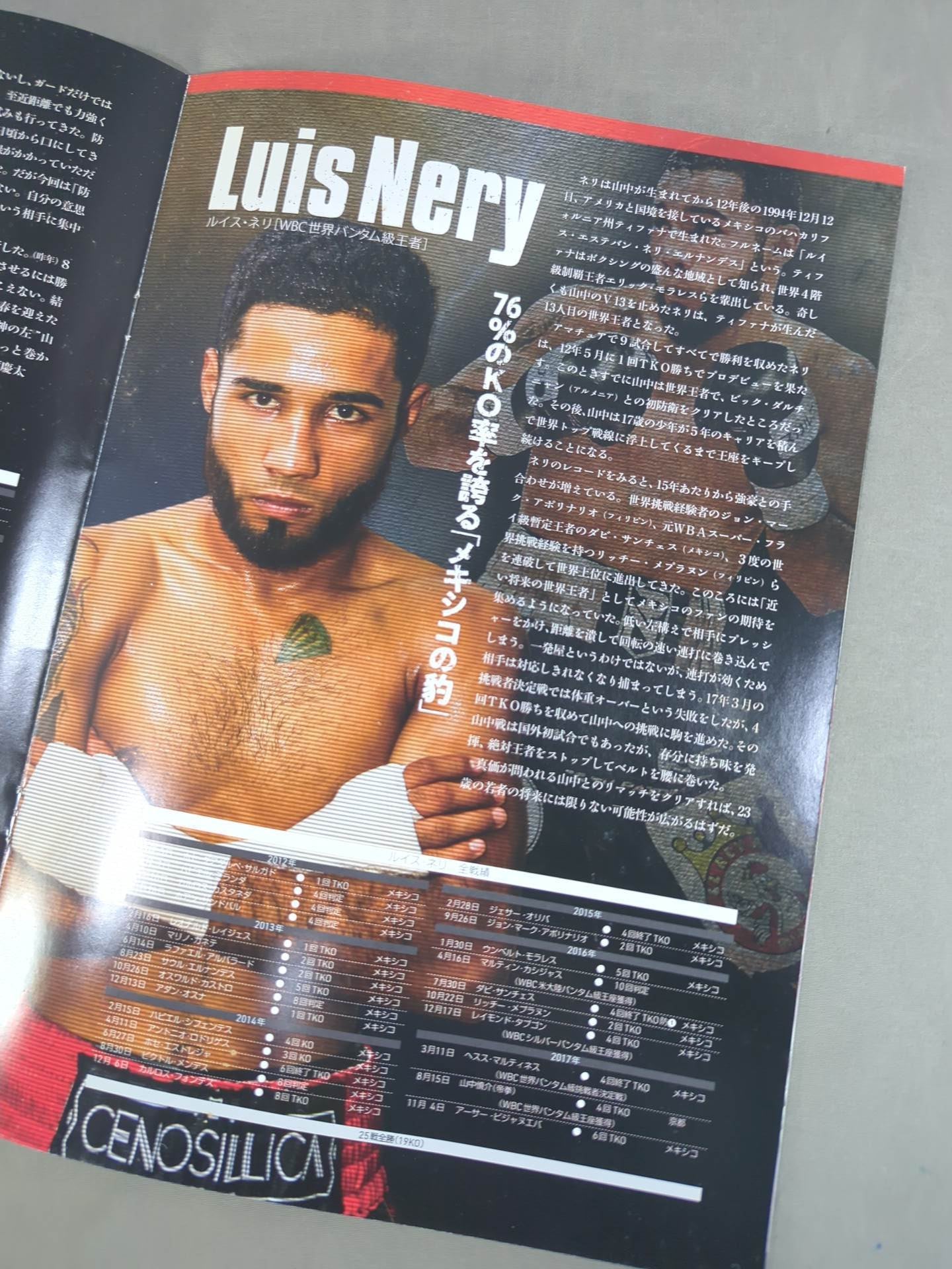 WBC世界バンタム級タイトルマッチ】ルイス・ネリvs山中慎介(再戦) – 闘道館