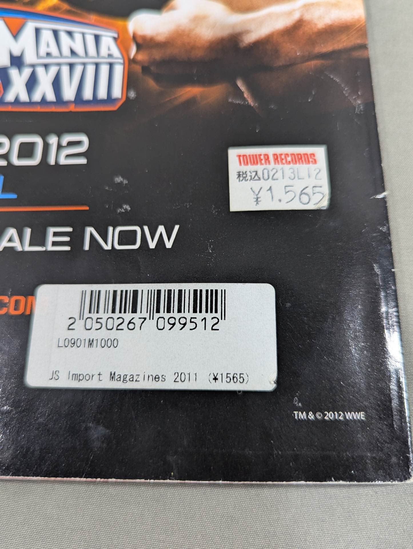 WRESTLE MANIA XXVIII ・ 2012 – 闘道館