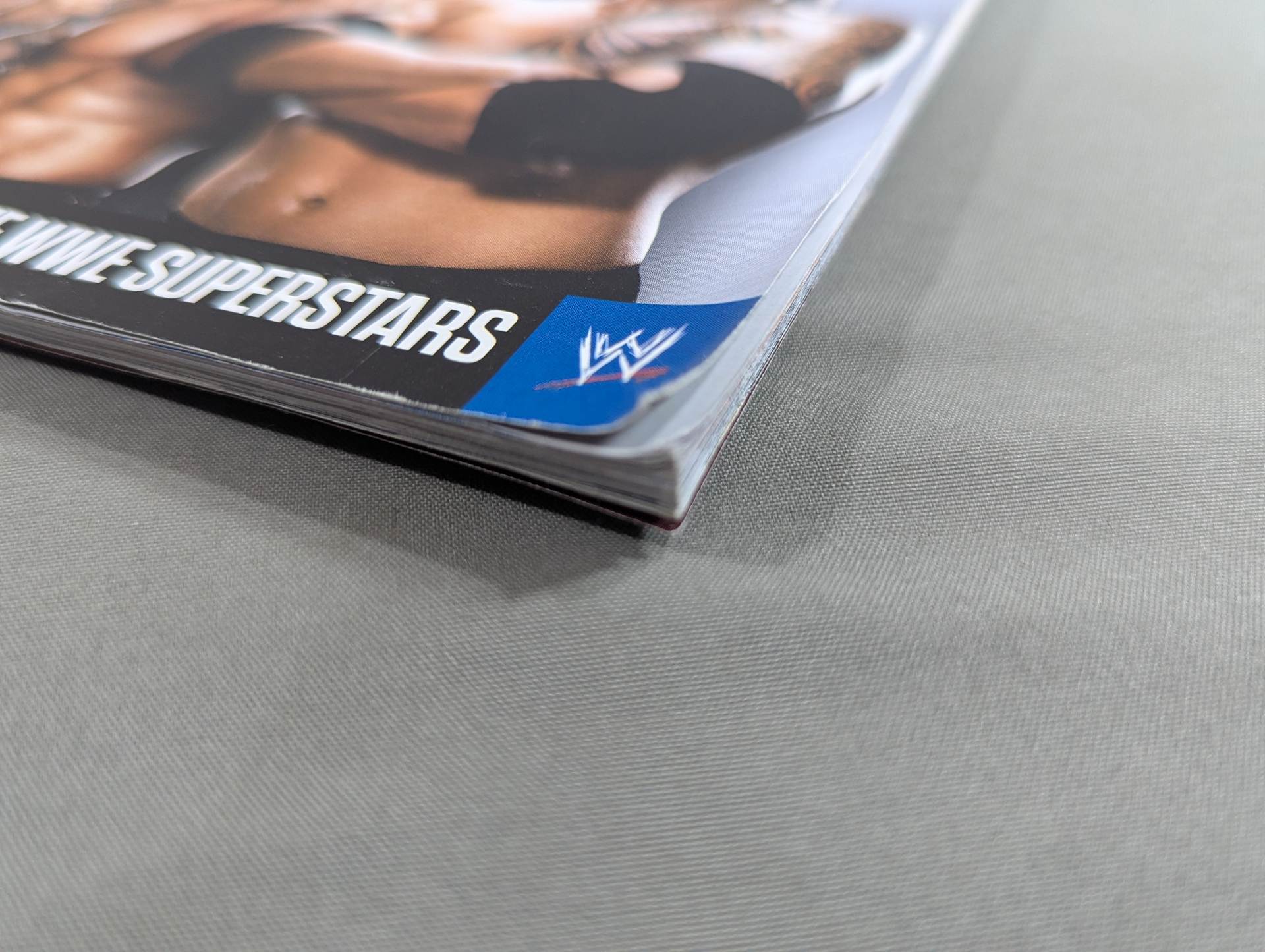 WRESTLE MANIA XXVIII ・ 2012 – 闘道館