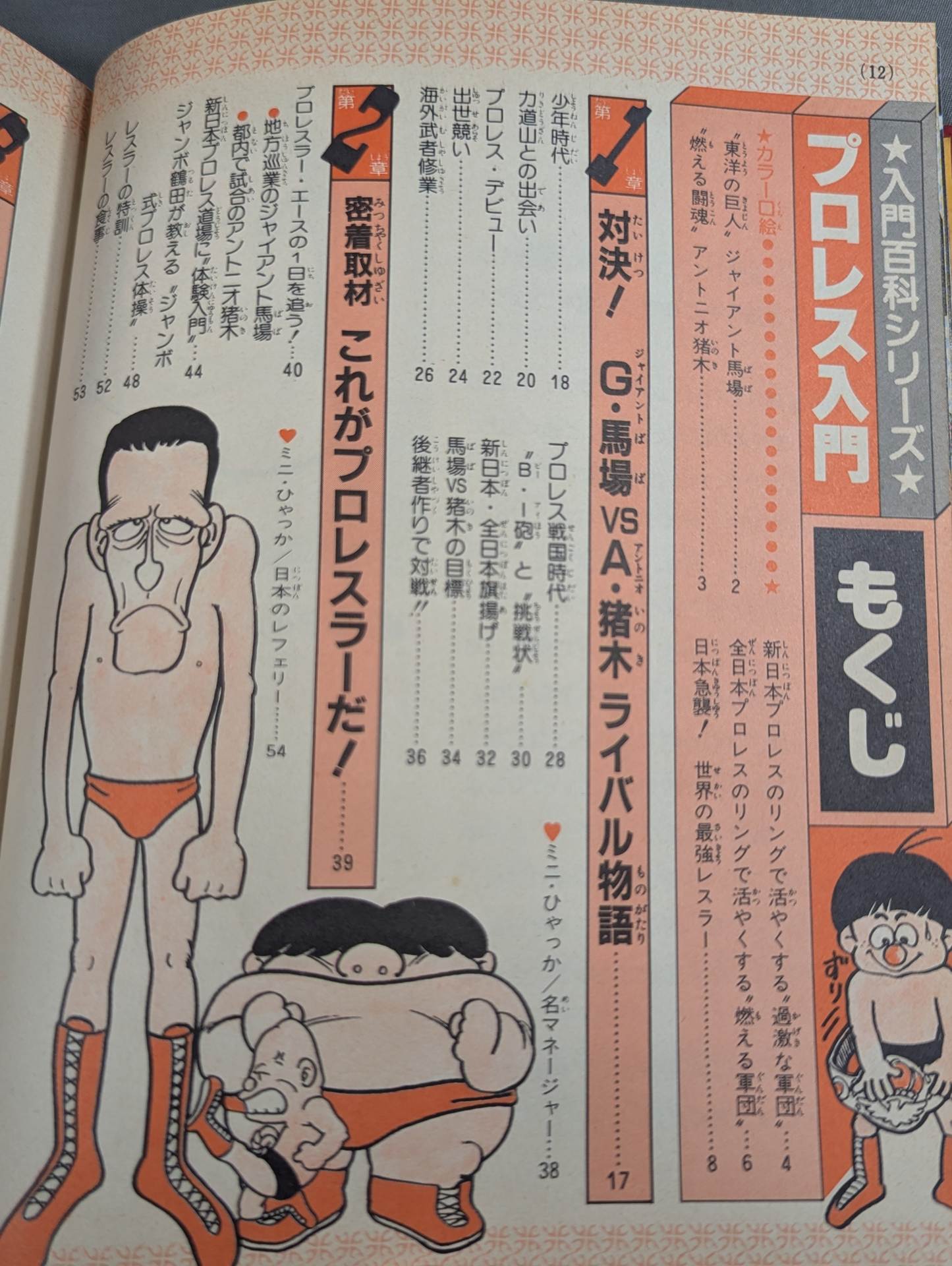 プロレス入門 小学館入門百科シリーズ⑨(改訂版) – 闘道館
