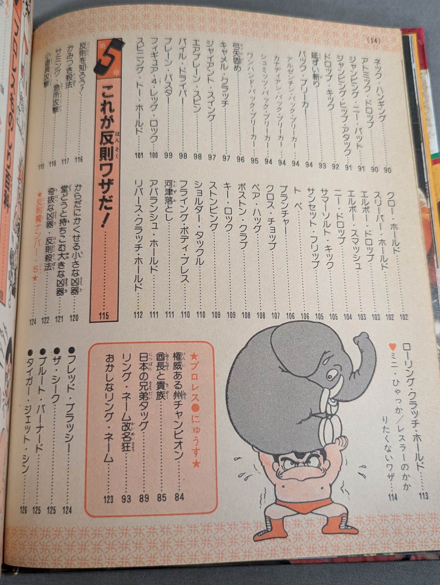 プロレス入門 小学館入門百科シリーズ⑨(改訂版) – 闘道館