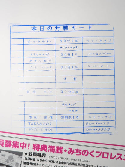 Michinoku Pro Wrestling  Official Pamphlet Vol.48