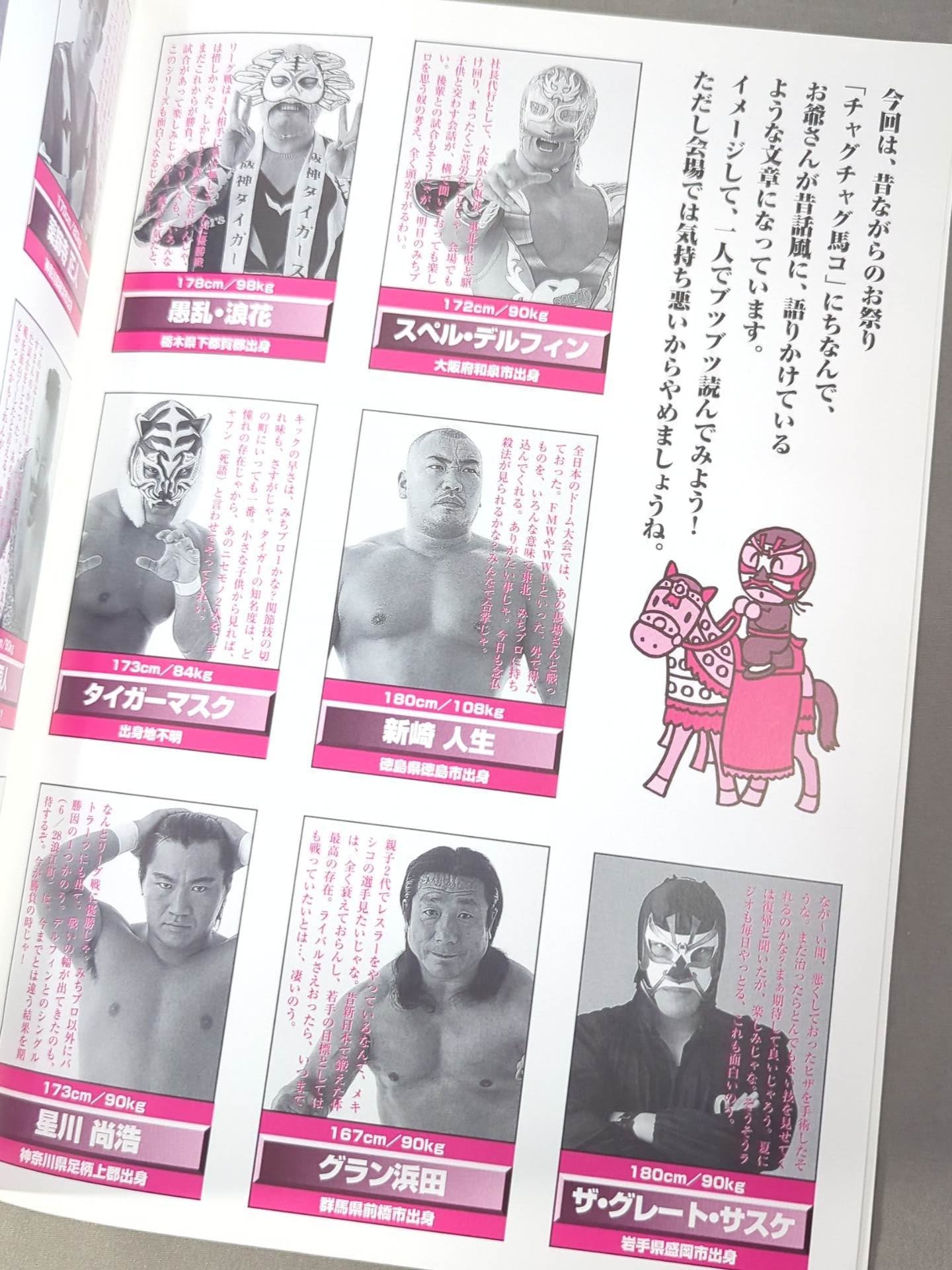 プロレスファン　1～35＋創刊準備号 みちのくプロレス オフィシャルパンフレット Vol.41 – 闘道館