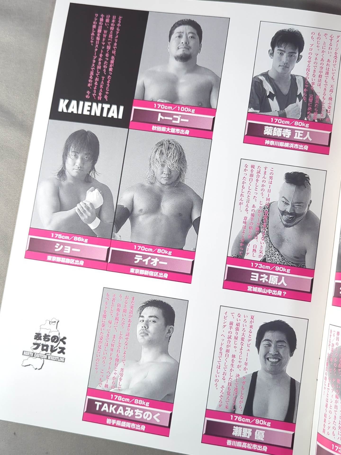 みちのくプロレス オフィシャルパンフレット Vol.41 – 闘道館