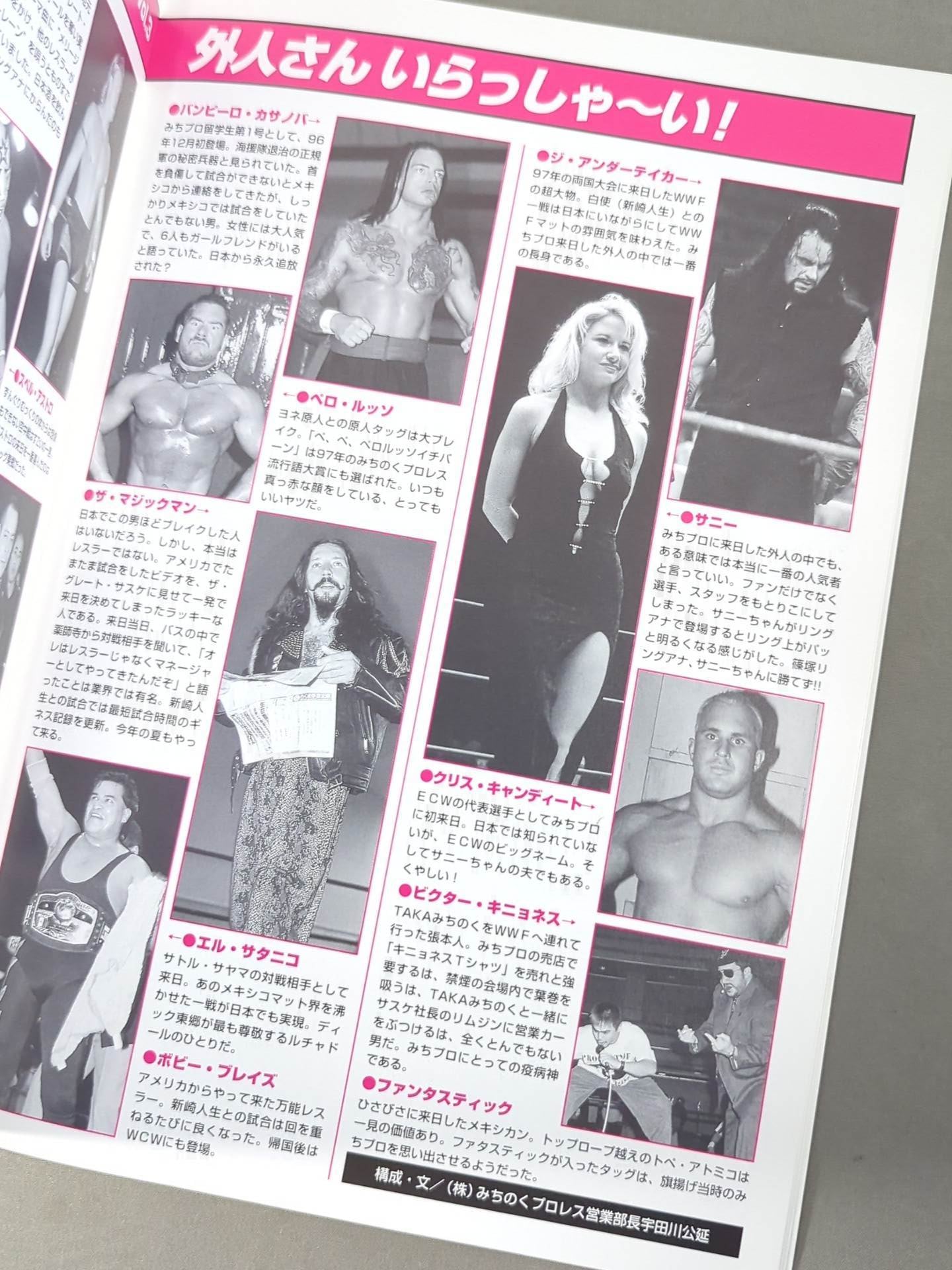 みちのくプロレス オフィシャルパンフレット Vol.41 – 闘道館
