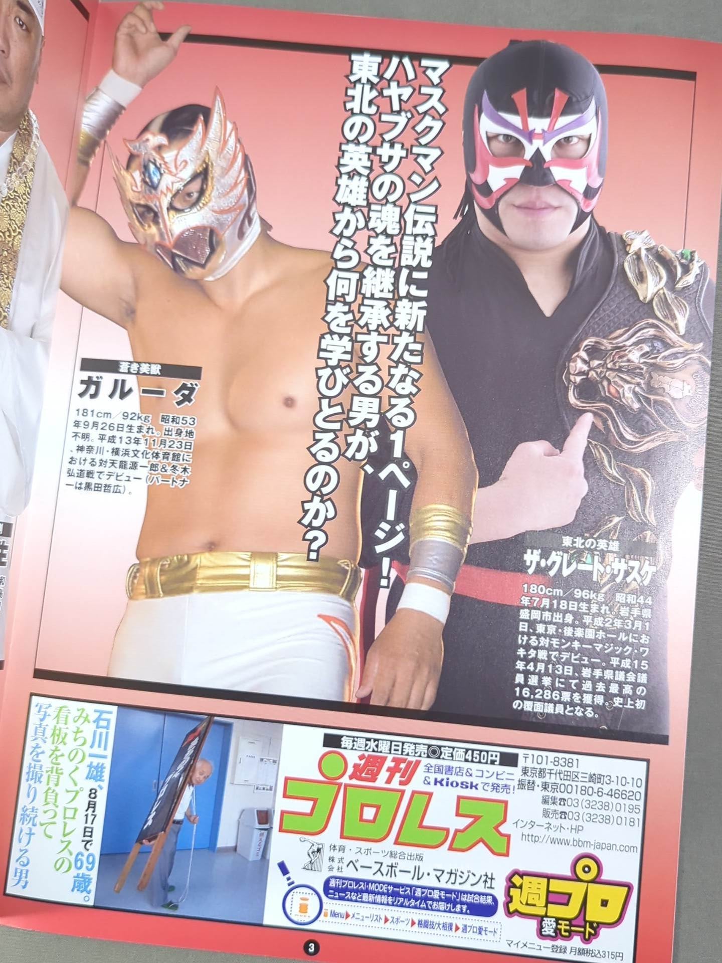 Michinoku Pro Wrestling  Official Pamphlet Vol.91