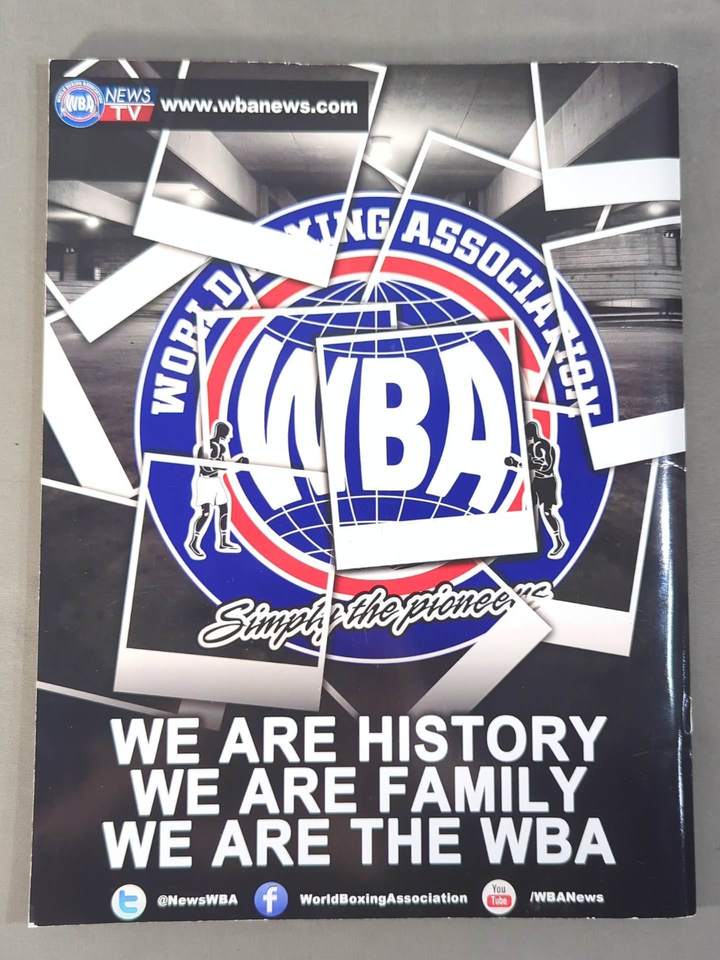 [All tickets included] Gennady Golovkin vs Curtis Stevens