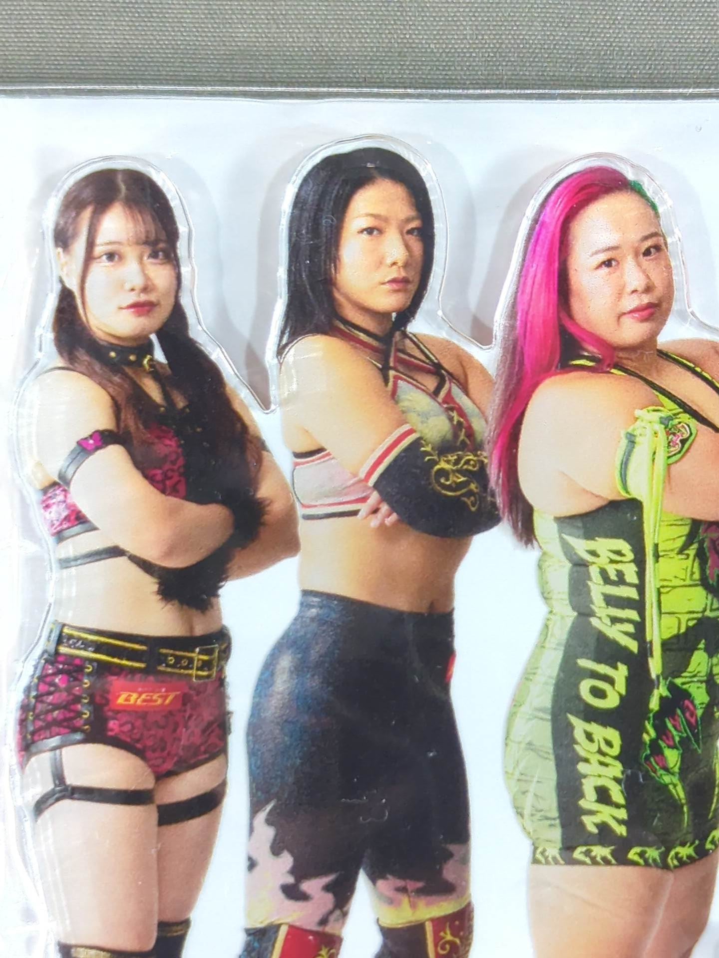 THE TOP OF JOSHI WRESTLING アクリルスタンド – 闘道館
