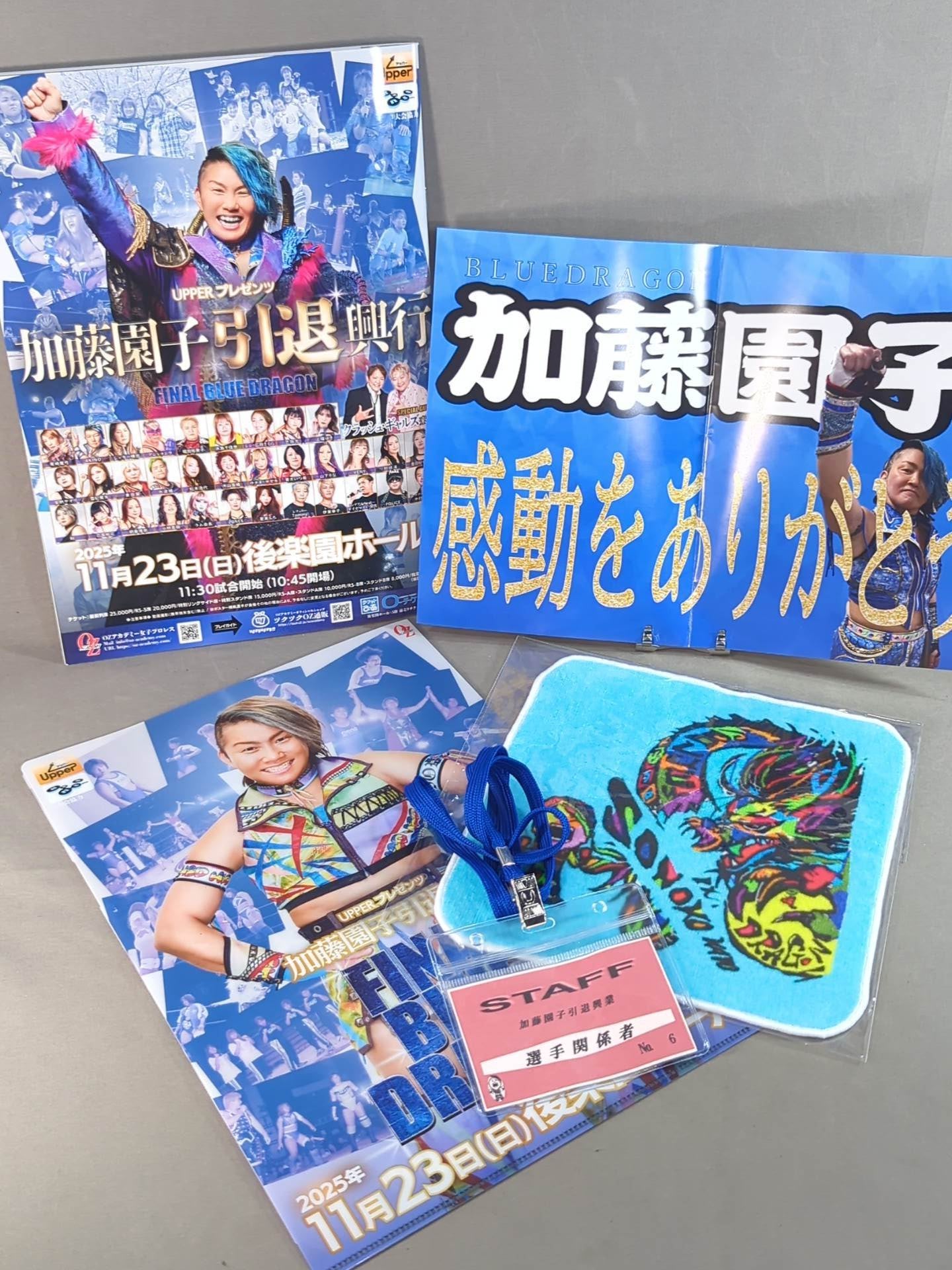 ★ ★ not sold in stores SONOKO KATO FINAL BLUE DRAGON bonus goods set