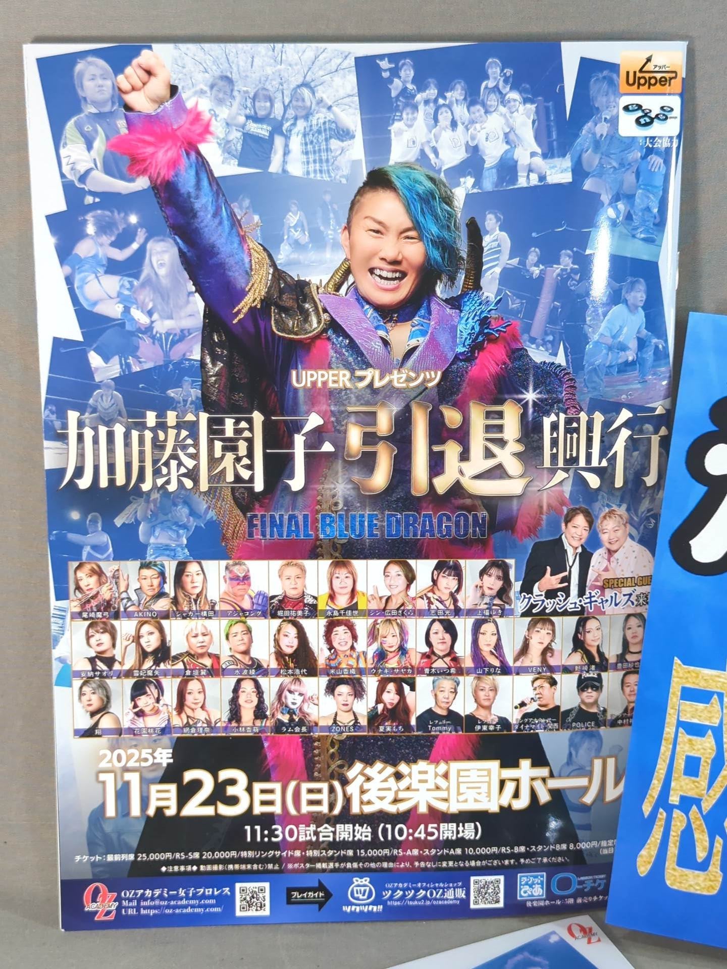 ★ ★ not sold in stores SONOKO KATO FINAL BLUE DRAGON bonus goods set