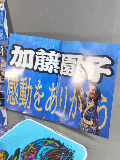 ★ ★ not sold in stores SONOKO KATO FINAL BLUE DRAGON bonus goods set
