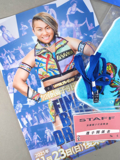 ★ ★ not sold in stores SONOKO KATO FINAL BLUE DRAGON bonus goods set