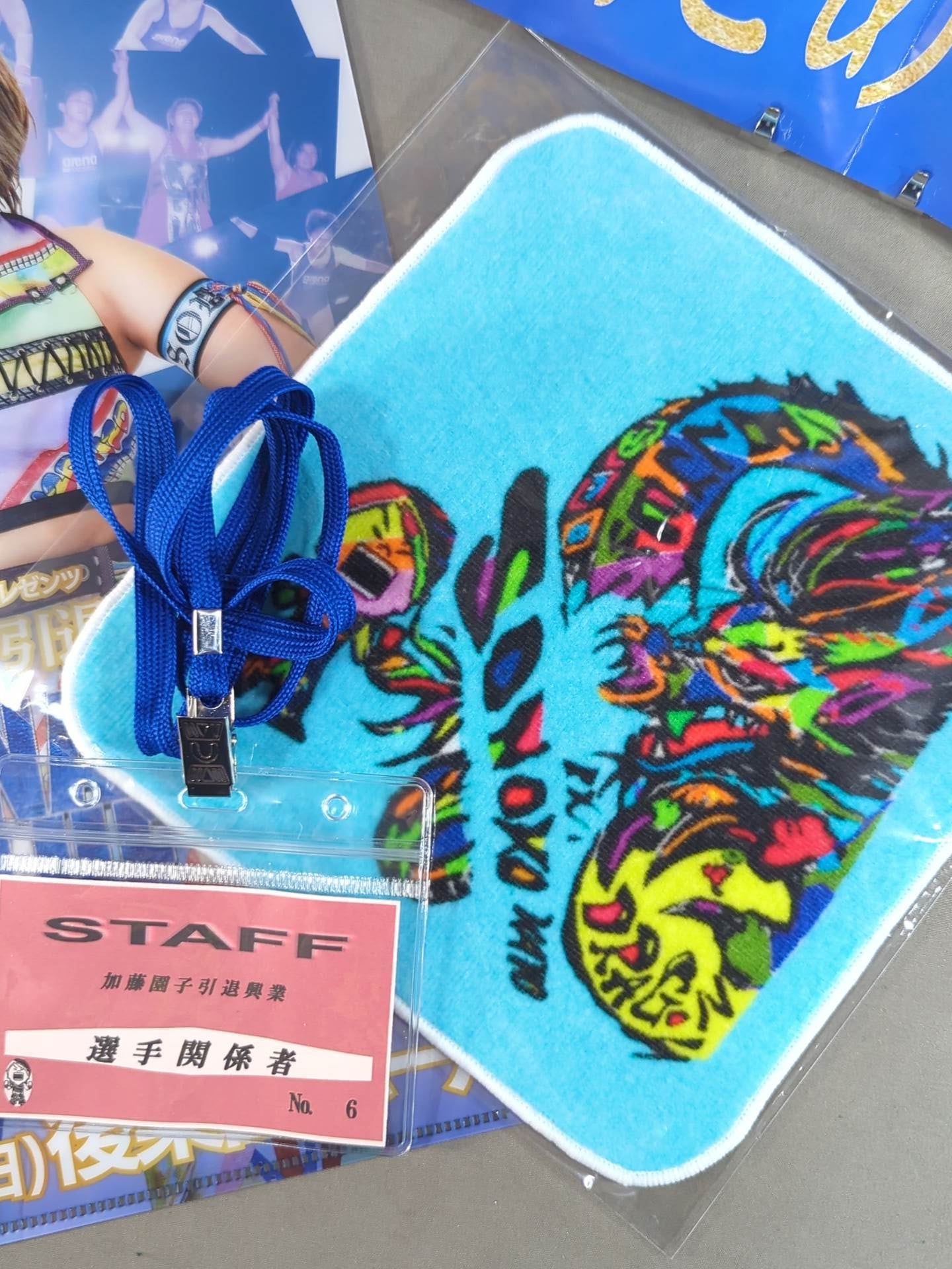 ★ ★ not sold in stores SONOKO KATO FINAL BLUE DRAGON bonus goods set