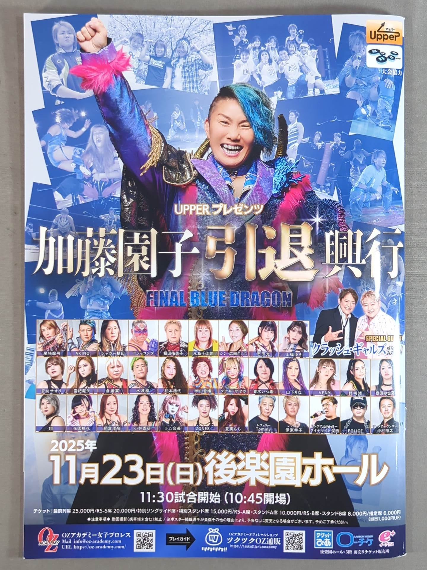 ★ ★ not sold in stores SONOKO KATO FINAL BLUE DRAGON bonus goods set