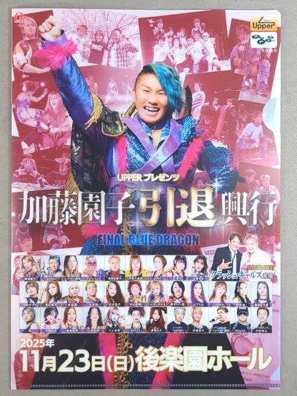 ★ ★ not sold in stores SONOKO KATO FINAL BLUE DRAGON bonus goods set