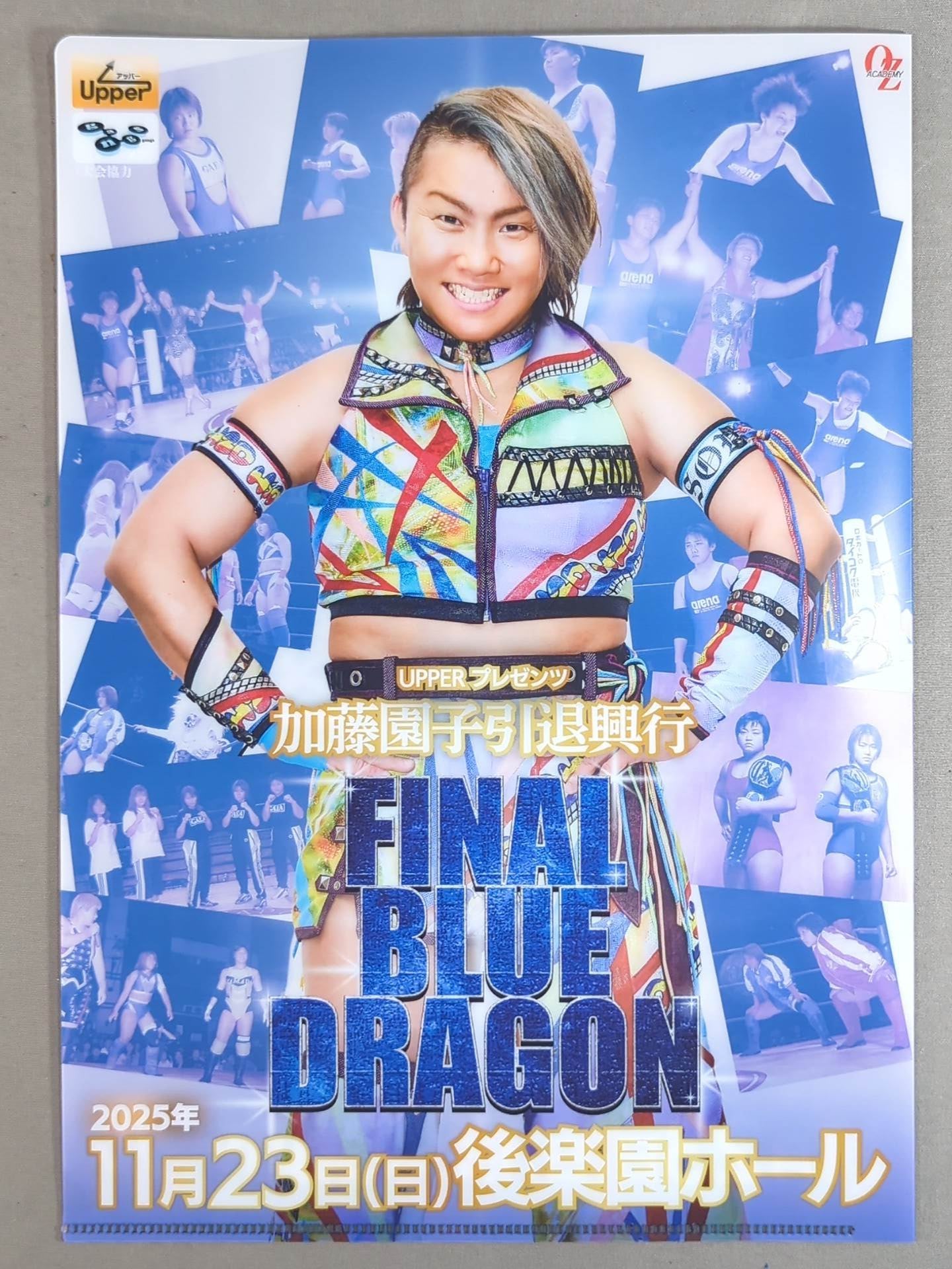 ★ ★ not sold in stores SONOKO KATO FINAL BLUE DRAGON bonus goods set