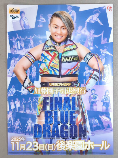 ★ ★ not sold in stores SONOKO KATO FINAL BLUE DRAGON bonus goods set