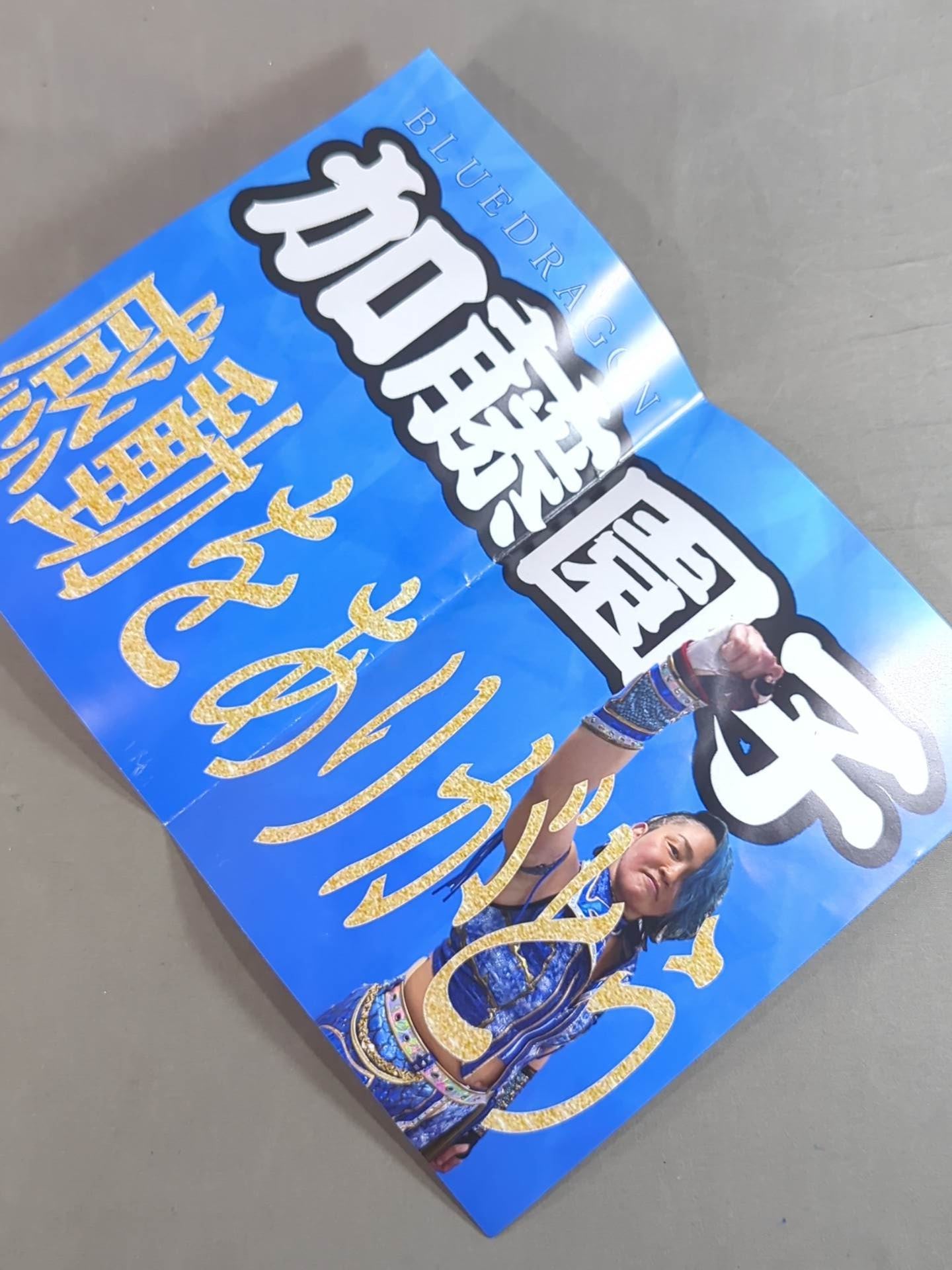 ★ ★ not sold in stores SONOKO KATO FINAL BLUE DRAGON bonus goods set