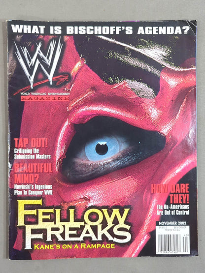 WWE MAGAZINE November 2002