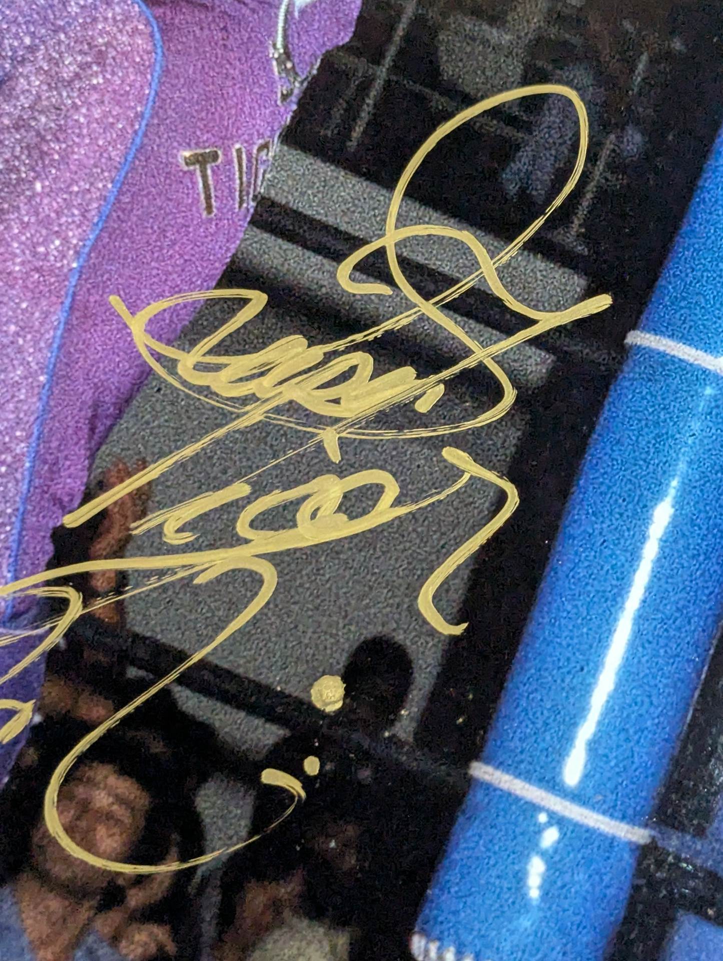 スーパータイガー&初代タイガーマスク&佐山サトル 直筆サイン入り大判