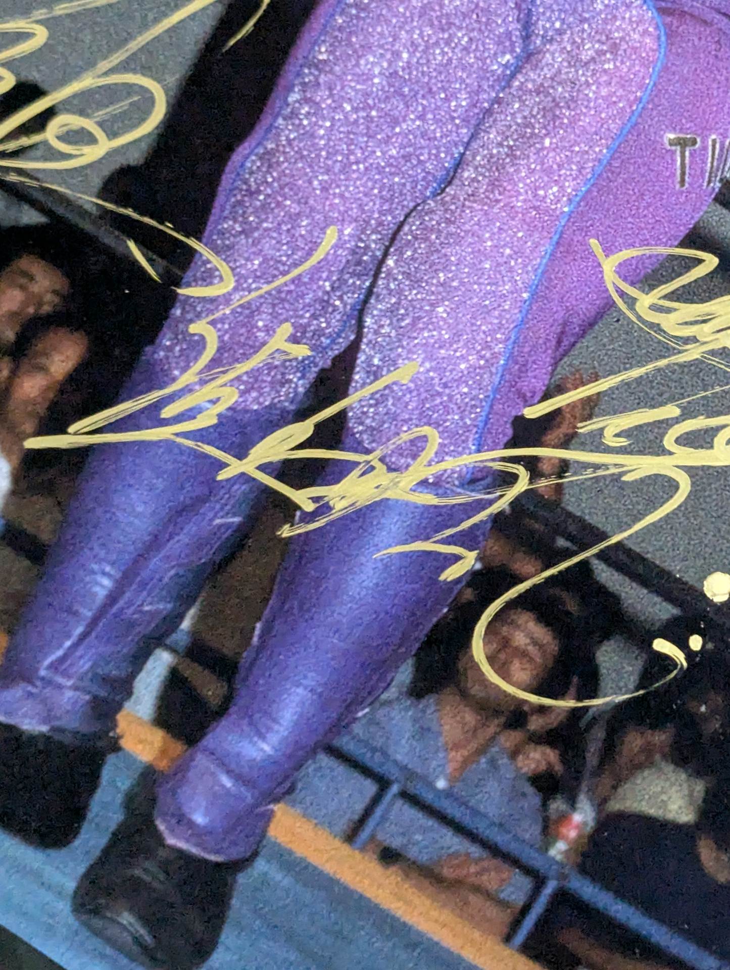 スーパータイガー&初代タイガーマスク&佐山サトル 直筆サイン入り大判