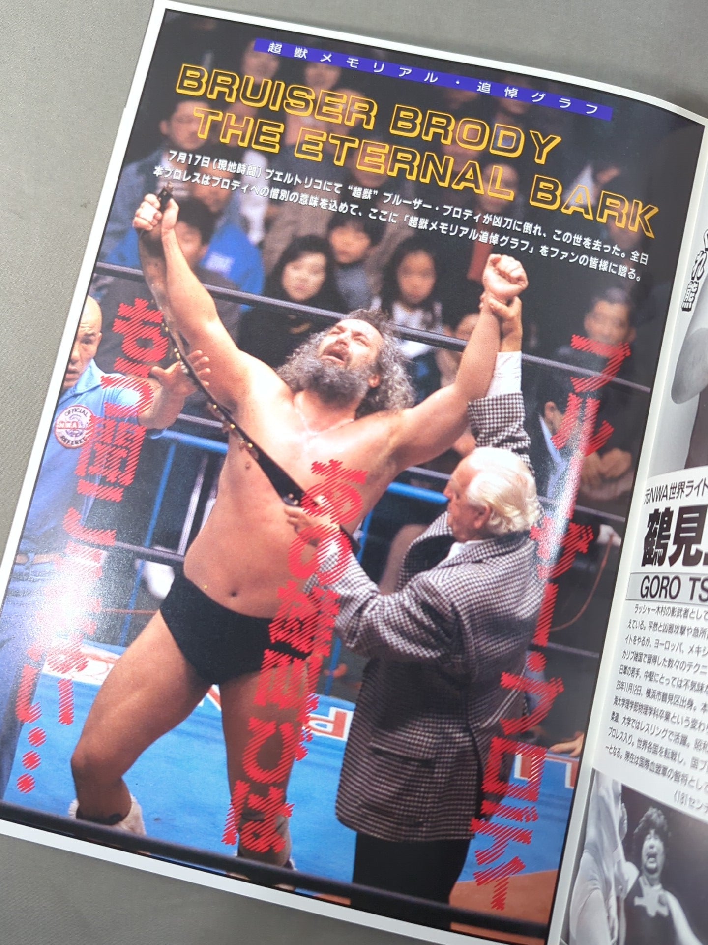 ★ Brody Memorial Night in Budokan ★ 88 Summer Action Series II