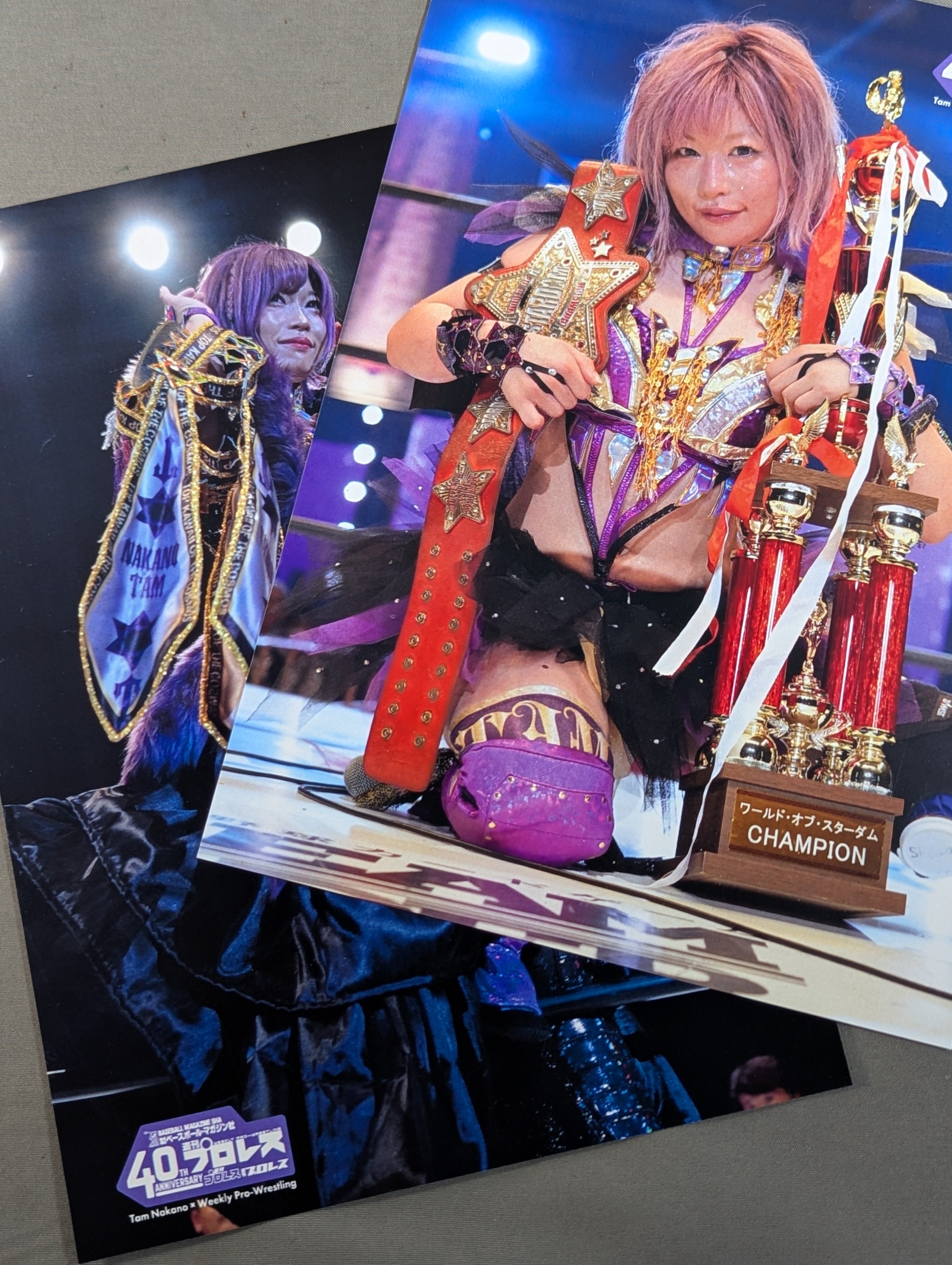 中野たむ×週刊プロレス ポートレート 2枚セット – 闘道館