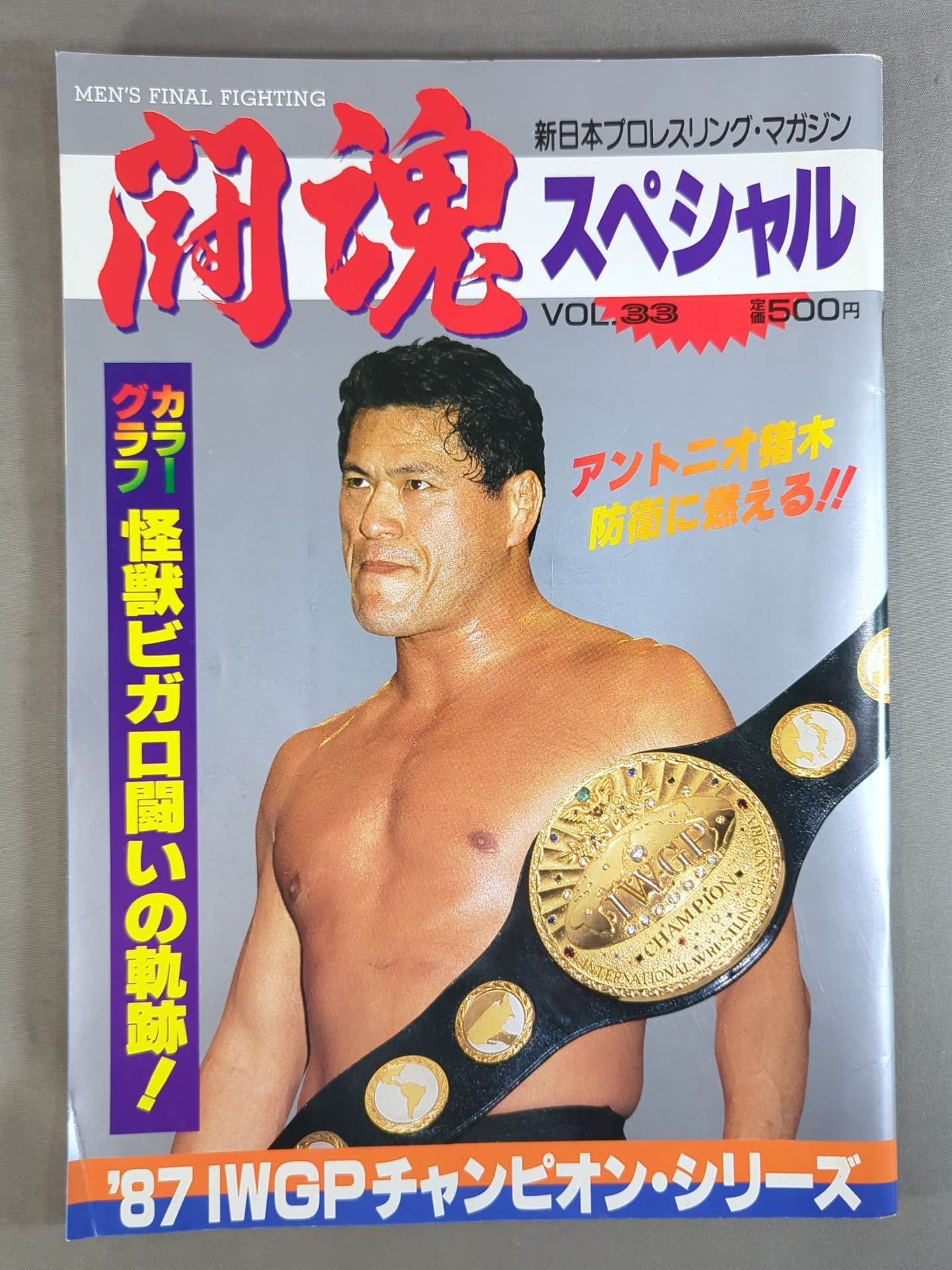 Fighting Spirit Special 33
