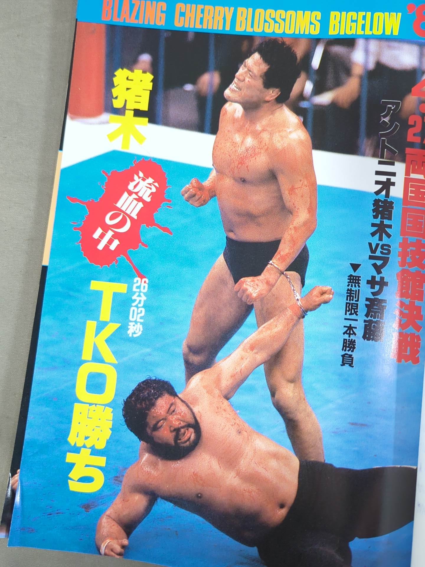 Fighting Spirit Special 33