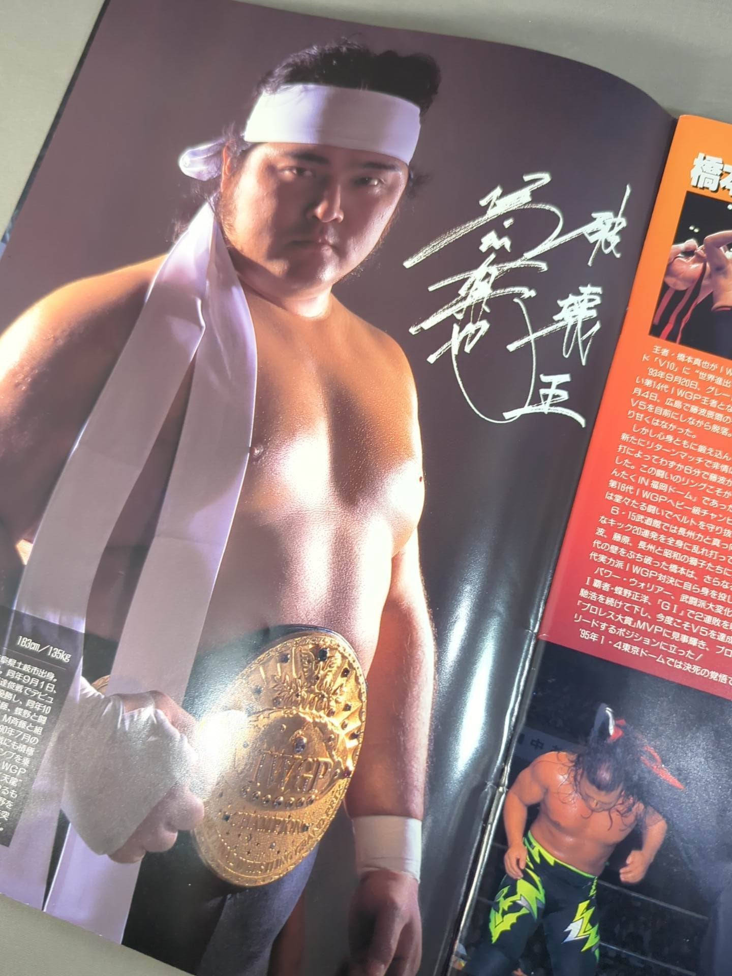 ★ Flair & Terry Participation ★ 95 Wrestling DONTAKU