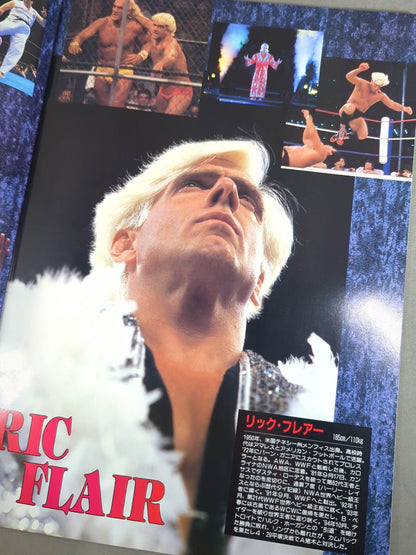 ★ Flair & Terry Participation ★ 95 Wrestling DONTAKU