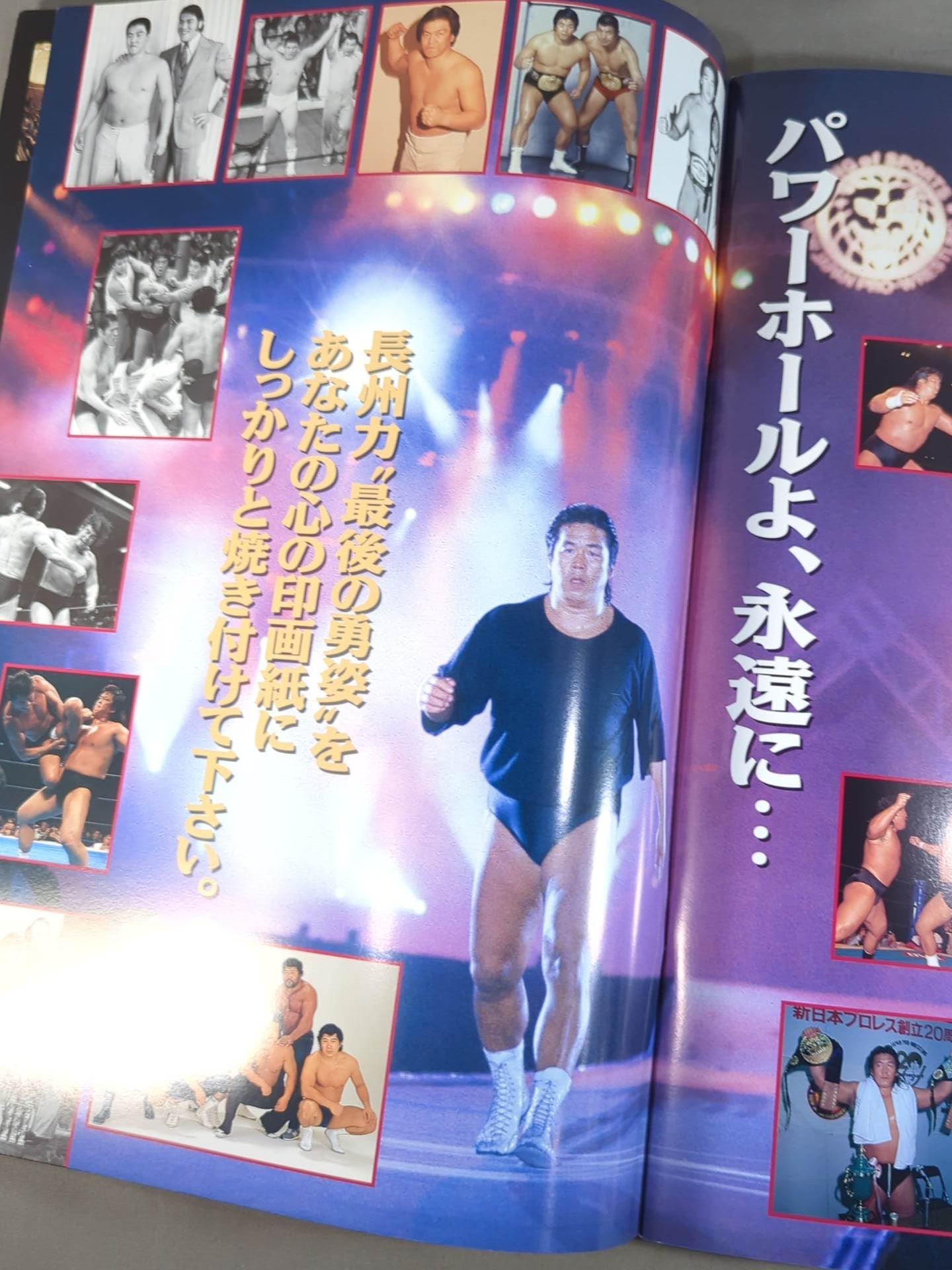 ☆長州力引退試合☆ FINAL POWER HALL in 闘強導夢 – 闘道館