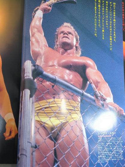 92 Super Warrior in Fighting Strong Dream