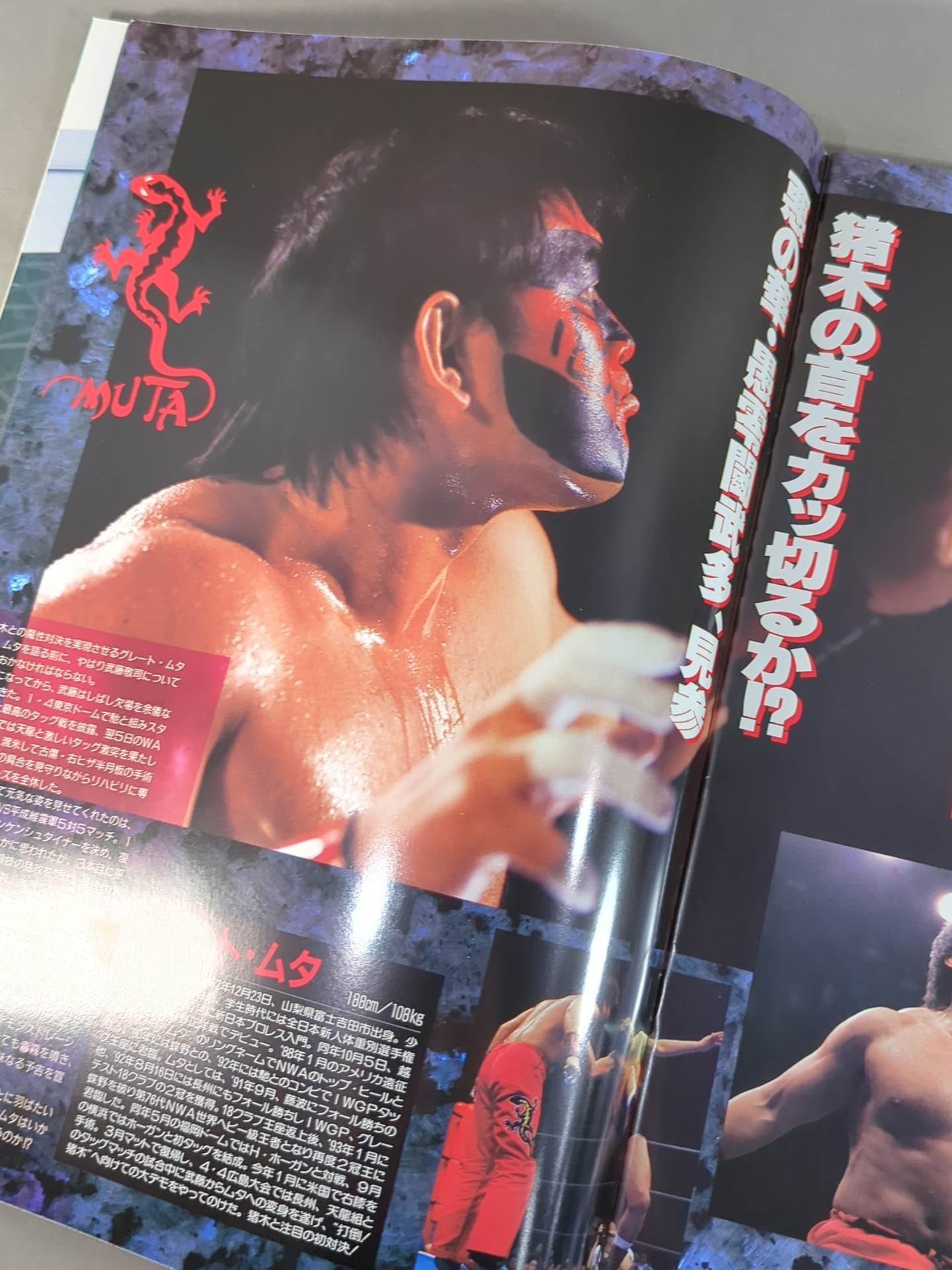 ☆猪木vsムタ☆ 94WRESTLING DONTAKU in FUKUOKA DOME – 闘道館