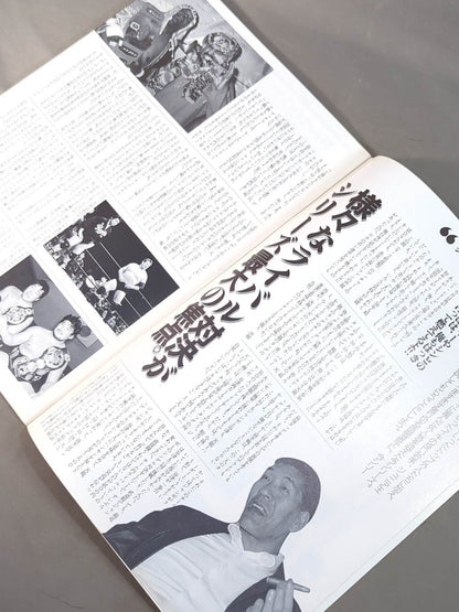 ★ Tenryu vs Kawada First Single ★ 89 Giant Series