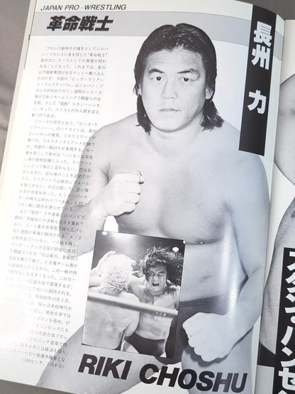 ジャパンプロレス / 85ビッグラリアートフェスティバル