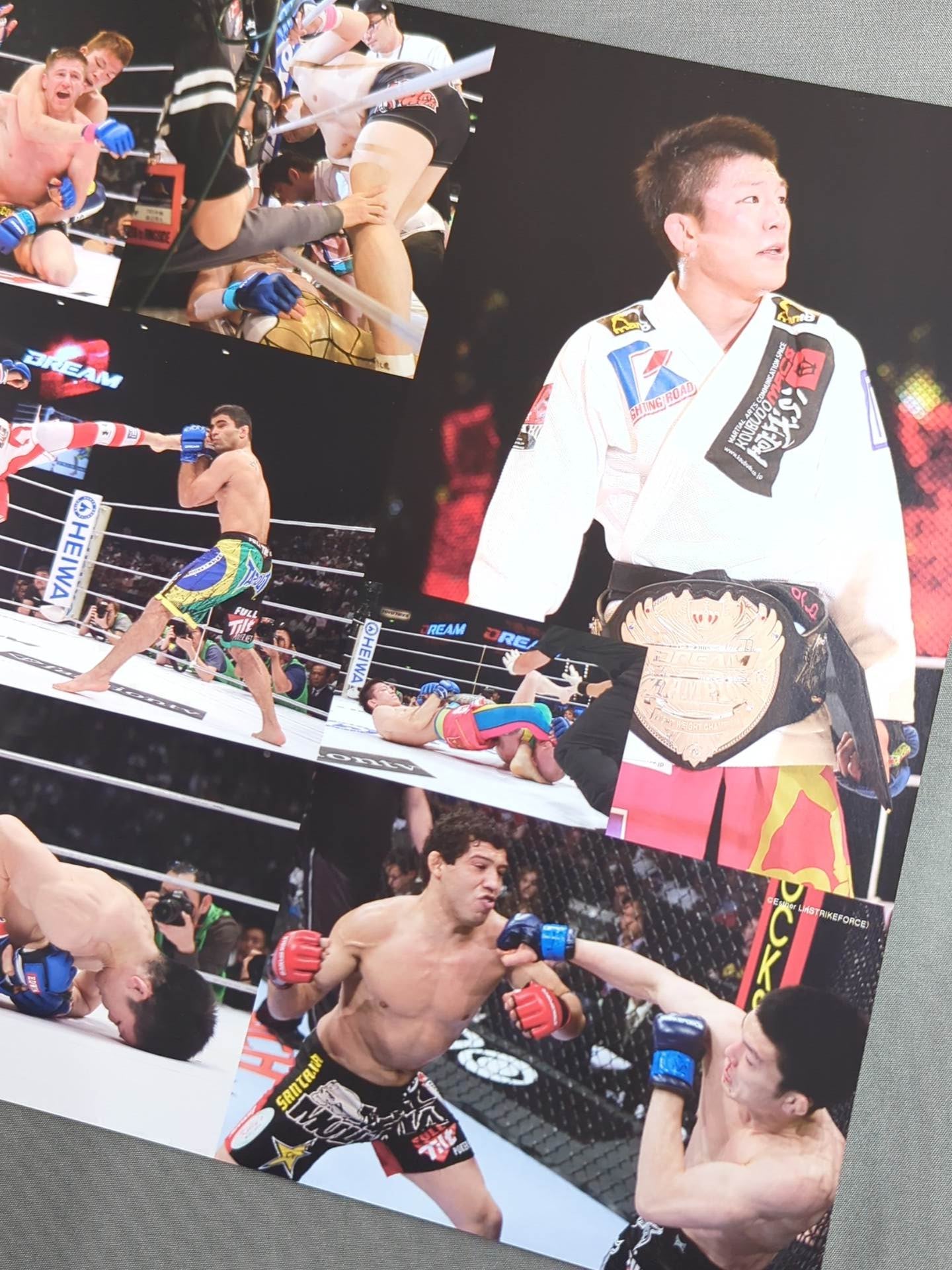 DREAM.15 – 闘道館