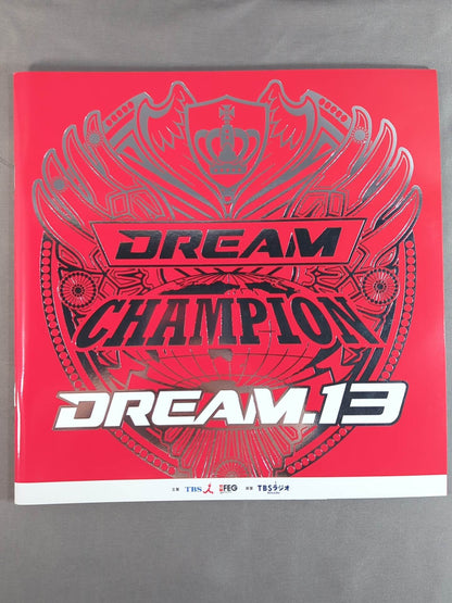 DREAM.13