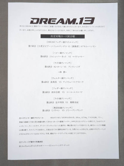 DREAM.13