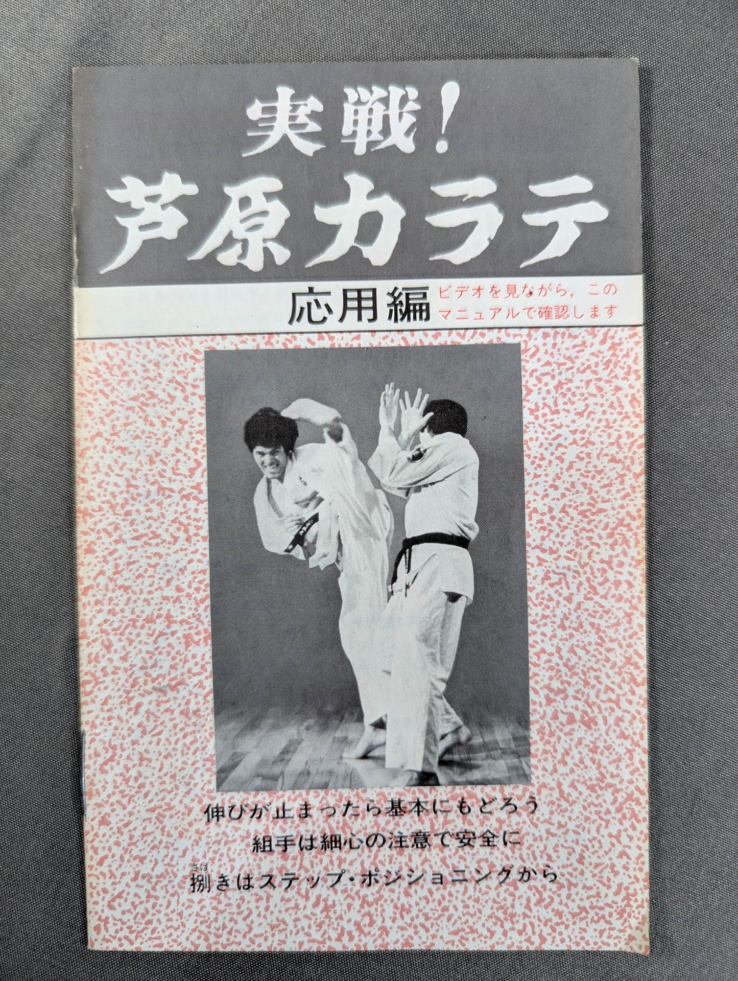 実戦! 芦原カラテ 応用編 世界を制するスーパーテクニック