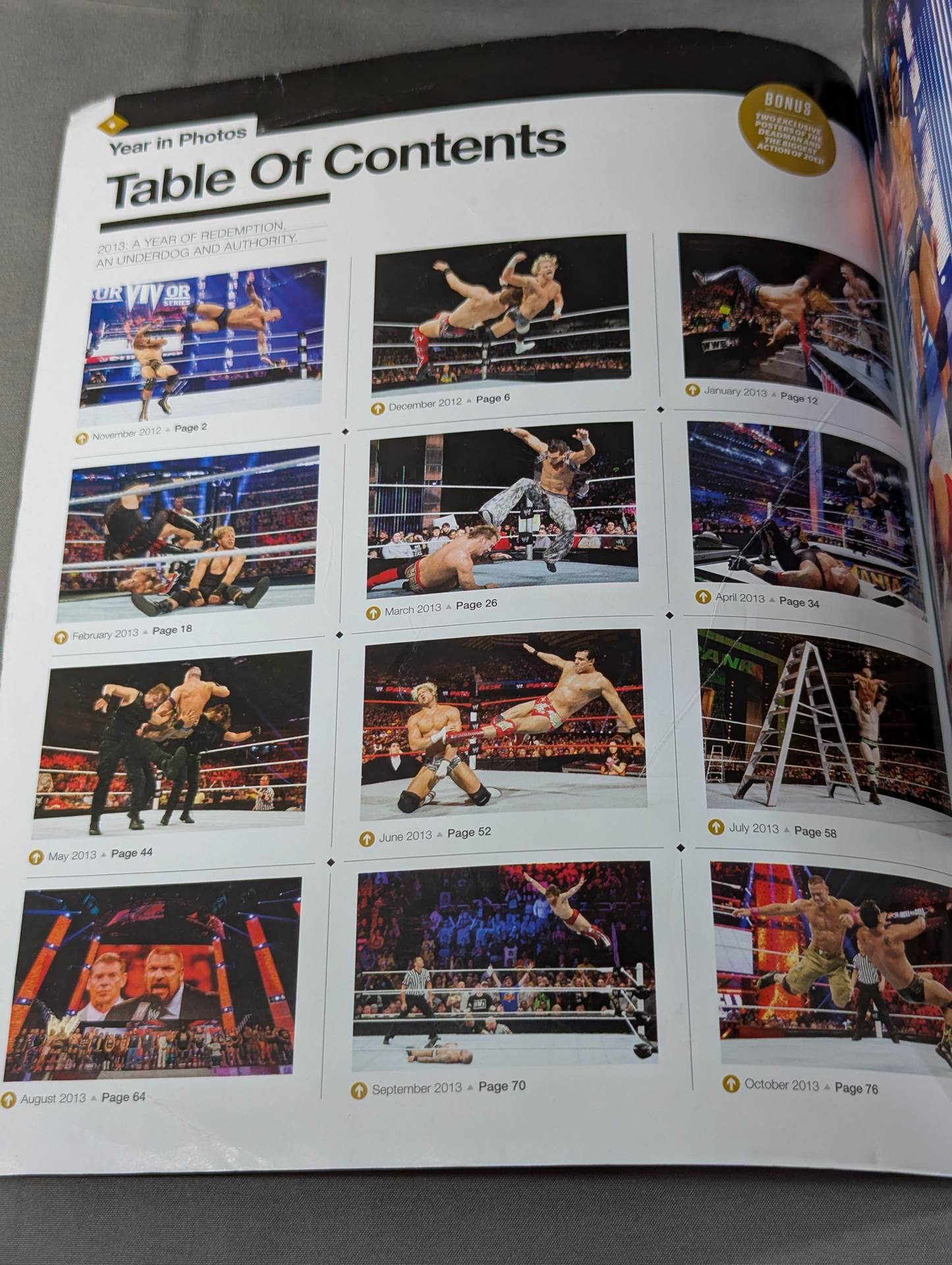 WWE THE YEAR IN PHOTOS 2013